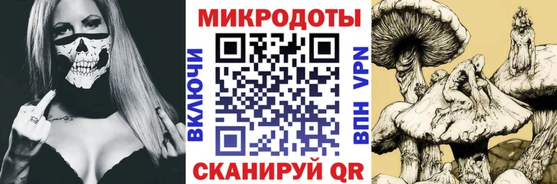 где купить   Кашин  MEGA ссылка  Псилоцибиновые грибы Magic Shrooms 