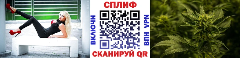 Каннабис THC 21%  omg зеркало  Кашин 